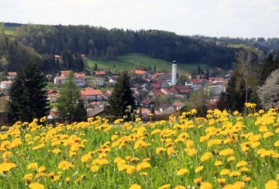 Ronsberg im Allgäu